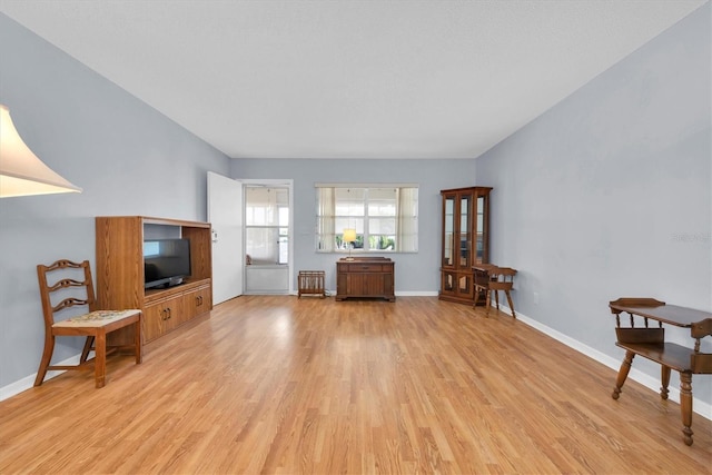 living room with light hardwood / wood-style floors