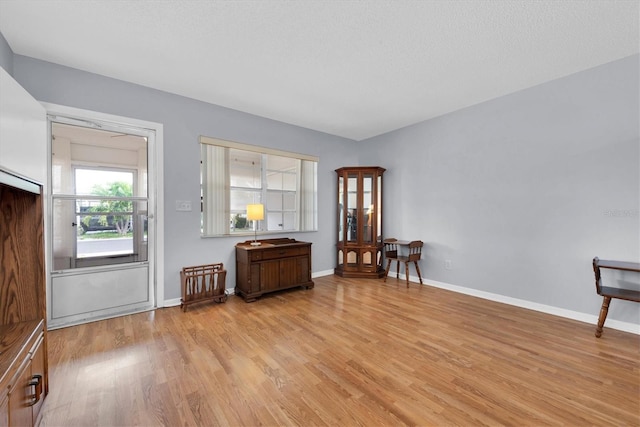 interior space featuring light hardwood / wood-style floors