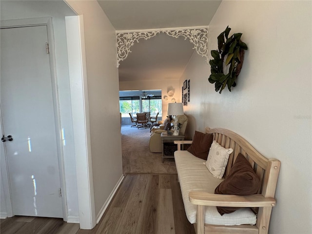 hallway featuring dark wood-type flooring