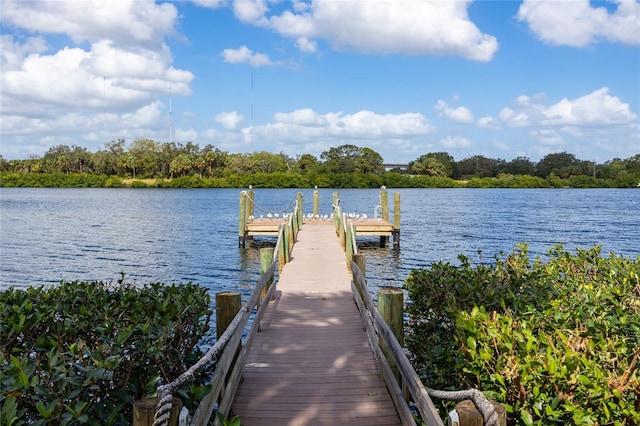 dock area with a water view