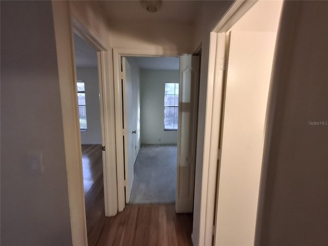 hall with hardwood / wood-style flooring