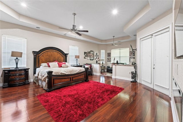 bedroom with ceiling fan, a tray ceiling, multiple windows, and dark hardwood / wood-style floors