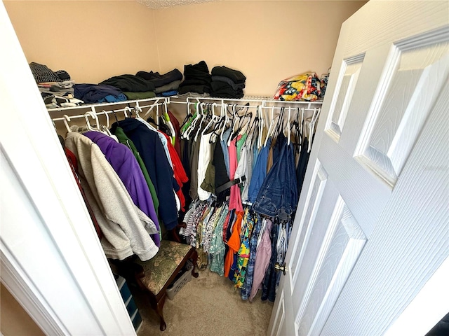 walk in closet featuring carpet flooring