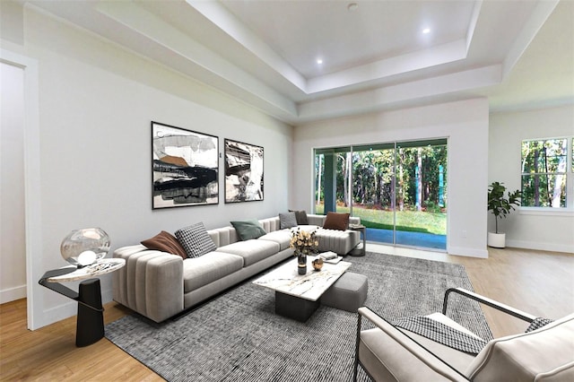 living room with wood-type flooring and a raised ceiling