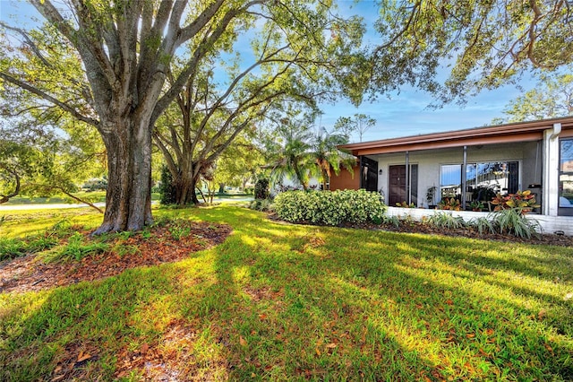 2390 Shelly Dr Unit D, Palm Harbor, FL 34684 - view of yard