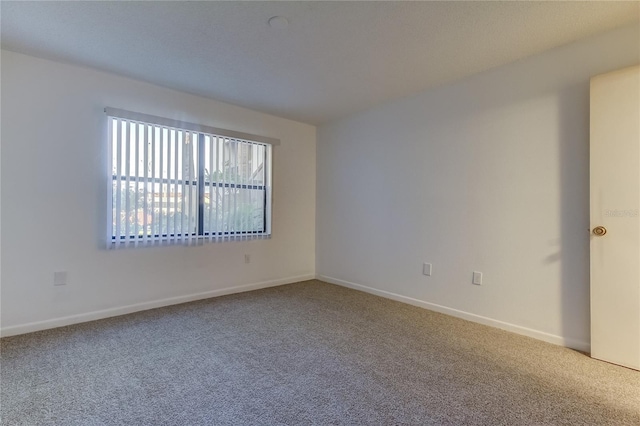 empty room featuring carpet