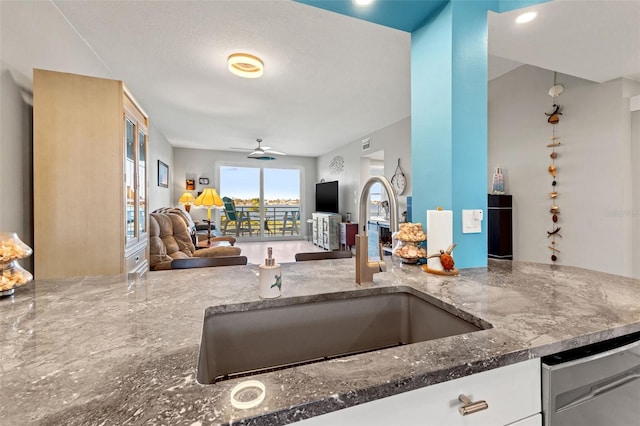 kitchen with stainless steel dishwasher, ceiling fan, and sink