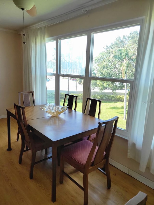 dining space featuring light hardwood / wood-style flooring and plenty of natural light