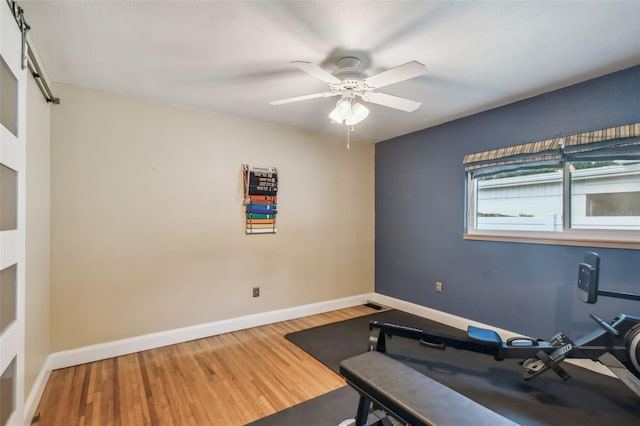 exercise area featuring wood-type flooring and ceiling fan