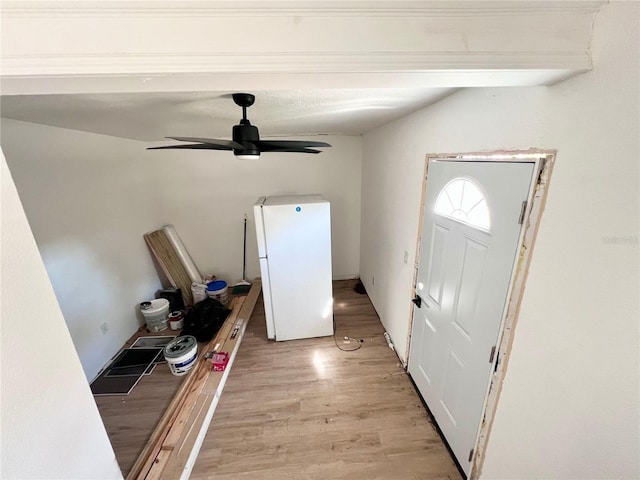 entrance foyer featuring light hardwood / wood-style floors and ceiling fan