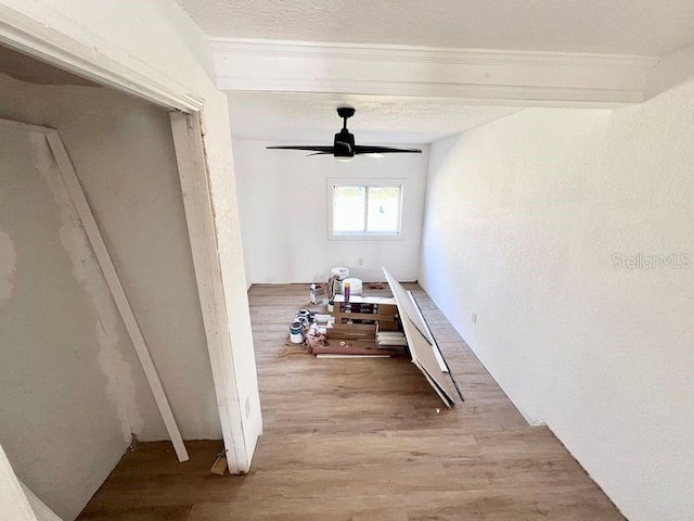 corridor with light hardwood / wood-style floors