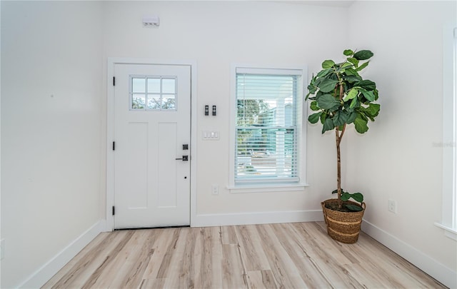 foyer entrance featuring light hardwood / wood-style flooring and plenty of natural light