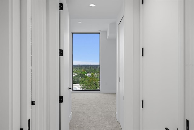 777 3rd Ave N Unit 1203, Saint Petersburg, FL 33701 - hallway with carpet floors, baseboards, and recessed lighting