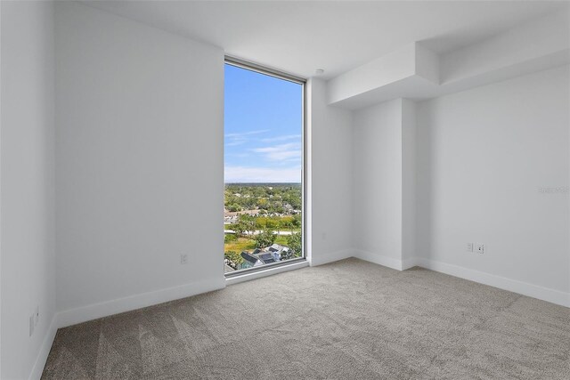 777 3rd Ave N Unit 1203, Saint Petersburg, FL 33701 - spare room with carpet flooring, a wall of windows, and baseboards
