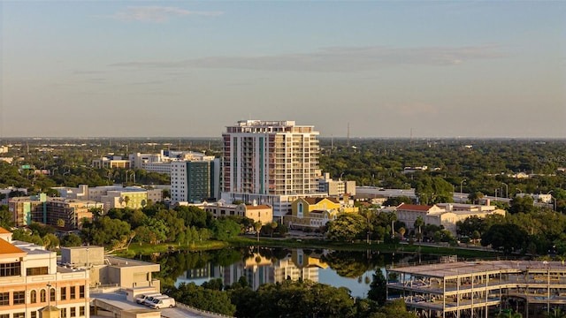 777 3rd Ave N Unit 1203, Saint Petersburg, FL 33701 - city view with a large body of water