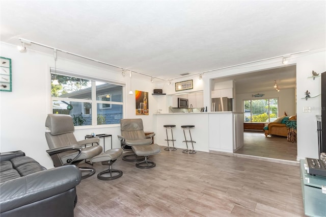 living room with light hardwood / wood-style floors