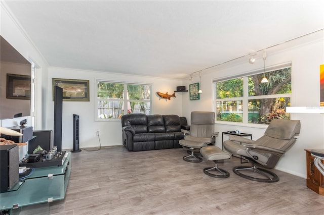 living room with ornamental molding, a healthy amount of sunlight, and light hardwood / wood-style flooring