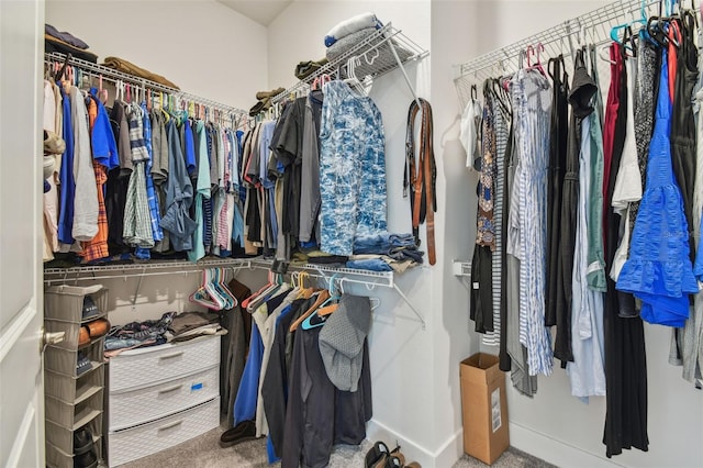 spacious closet featuring carpet floors