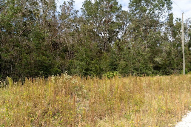 NE 825th St, Old Town, FL 32680 - photo 1