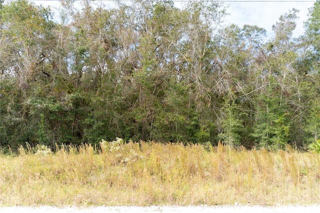 NE 825th St, Old Town, FL 32680 - photo 2
