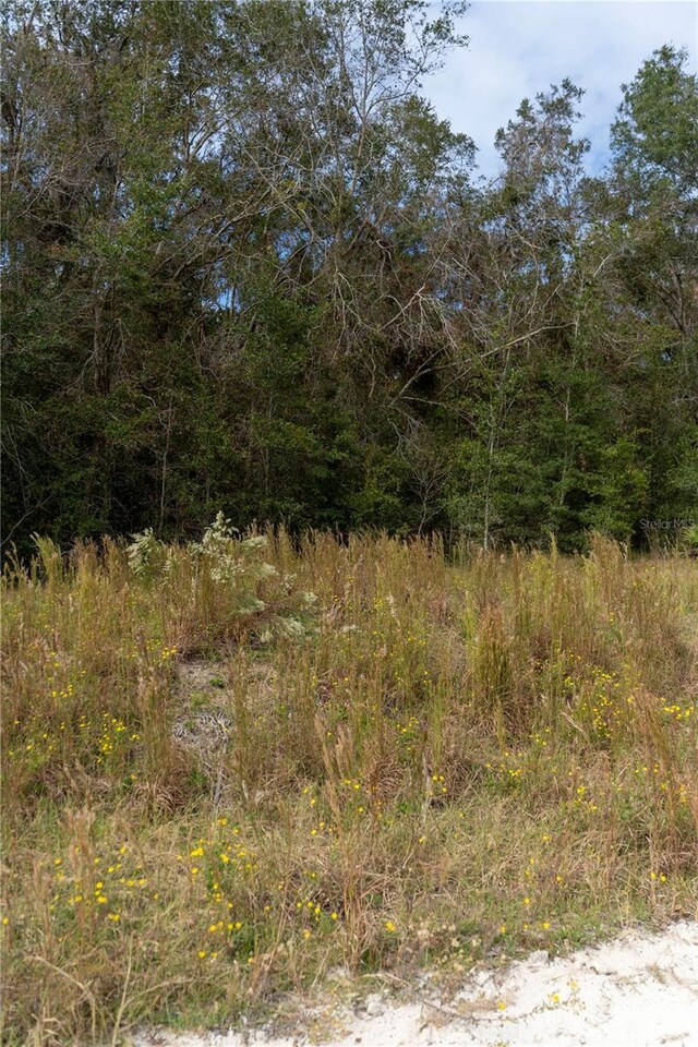 NE 825th St, Old Town, FL 32680 - photo 3