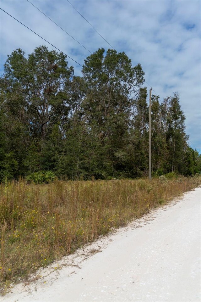 NE 825th St, Old Town, FL 32680 - photo 4