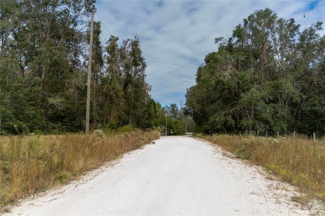 NE 825th St, Old Town, FL 32680 - photo 6