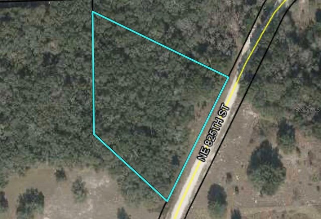NE 825th St, Old Town, FL 32680 - photo 7