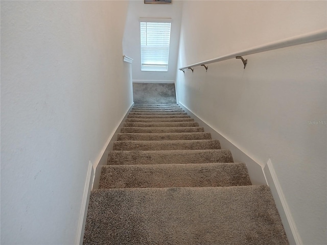 stairs with carpet flooring