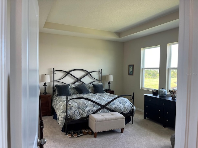 carpeted bedroom with a tray ceiling