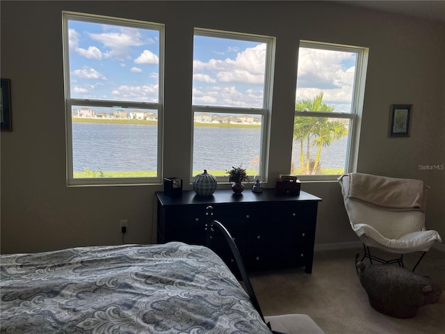 bedroom featuring carpet flooring and a water view