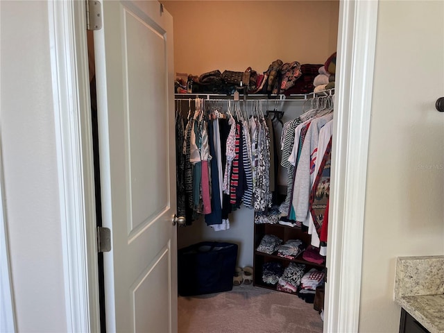 walk in closet featuring carpet flooring