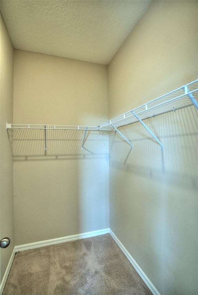 1027 Ocean Spray Dr, Ruskin, FL 33570 - photo 75