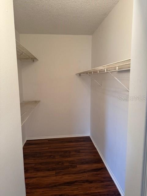 walk in closet featuring dark wood-type flooring