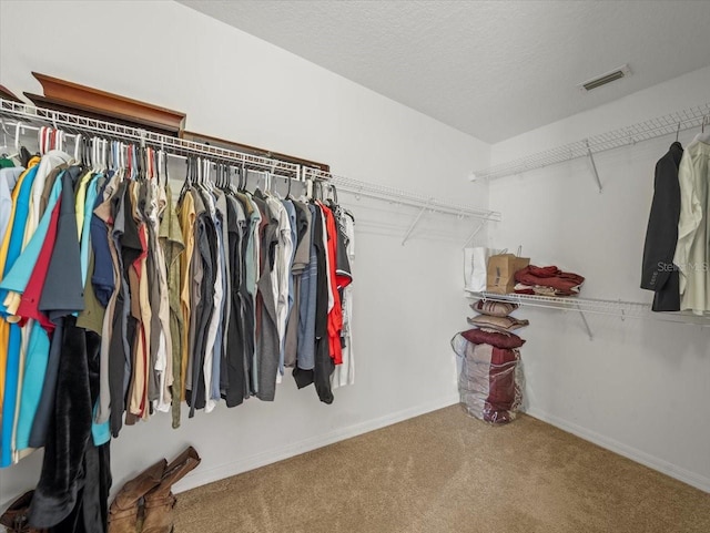 walk in closet with carpet flooring