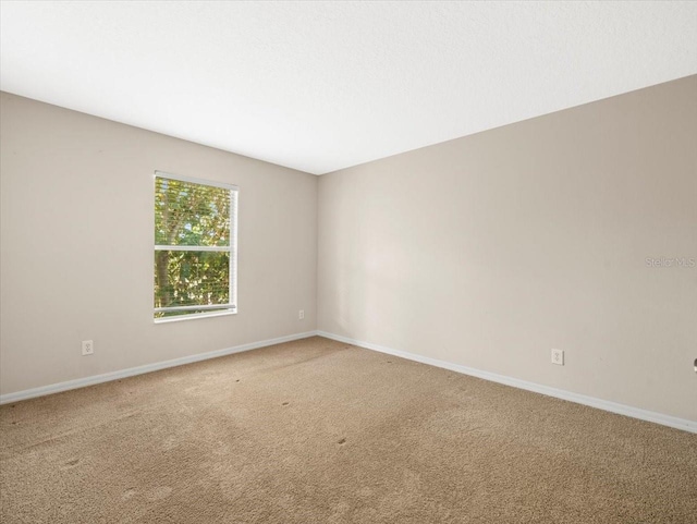 empty room featuring carpet floors