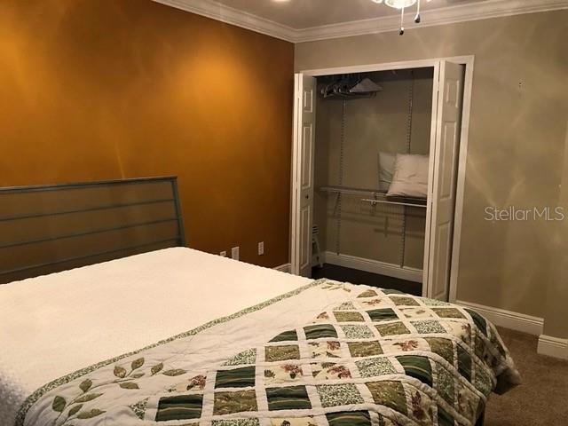 bedroom featuring baseboards, ornamental molding, a closet, and carpet floors