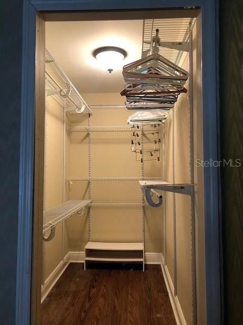 walk in closet featuring dark wood finished floors