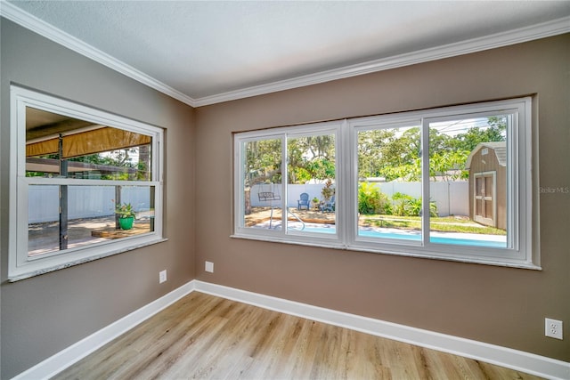 unfurnished room featuring a wealth of natural light and light wood-type flooring