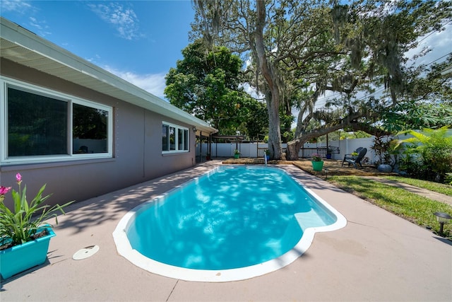 view of swimming pool with a patio