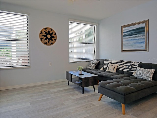 living room featuring light hardwood / wood-style floors and plenty of natural light