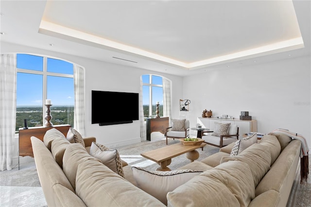 living room with a tray ceiling