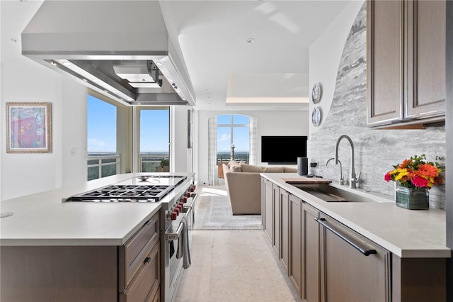 kitchen with decorative backsplash, a tray ceiling, ventilation hood, sink, and appliances with stainless steel finishes