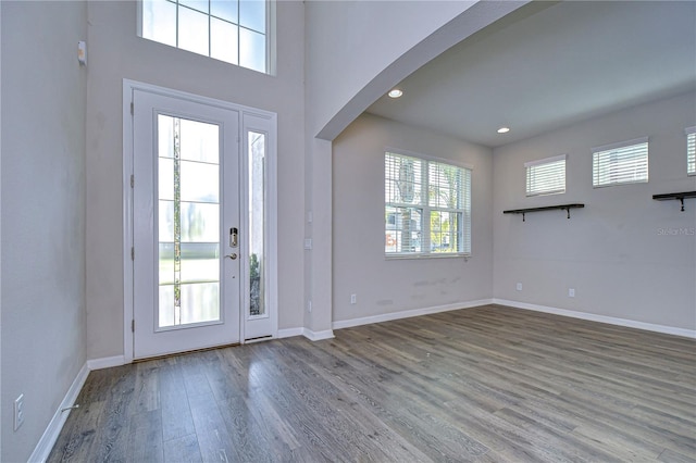 foyer entrance featuring wood-type flooring, a high ceiling, and a wealth of natural light