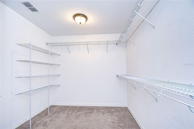 walk in closet featuring carpet flooring