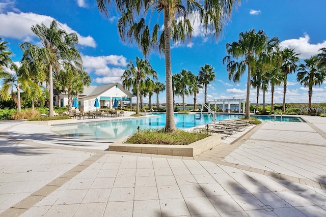 view of swimming pool featuring a patio and a pergola