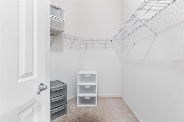 spacious closet featuring light carpet