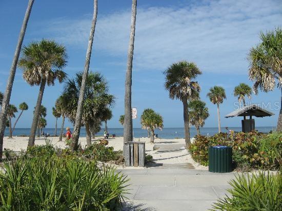 2571 Cyprus Dr Unit 1-202, Palm Harbor, FL 34684 - view of property's community with view of water and beach