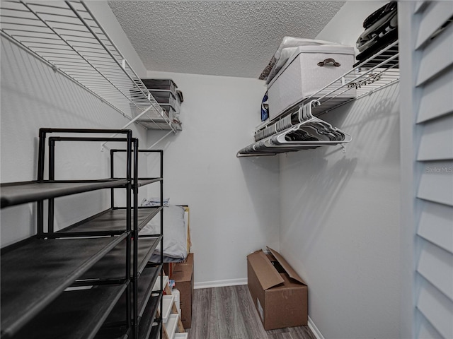 walk in closet with hardwood / wood-style floors