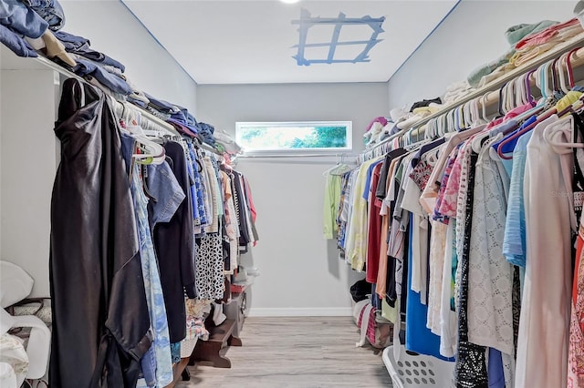 walk in closet featuring light wood-type flooring